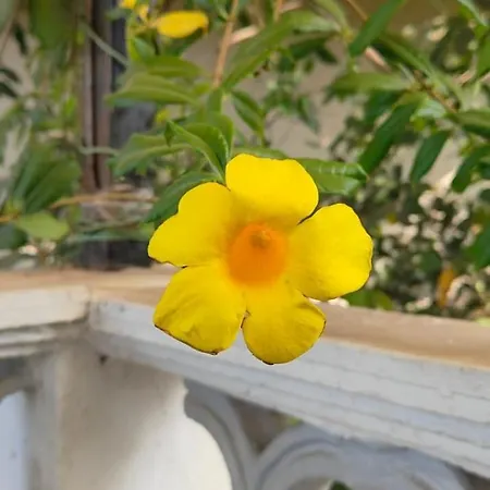 Nature Villa, Dukes Den Khandala-2